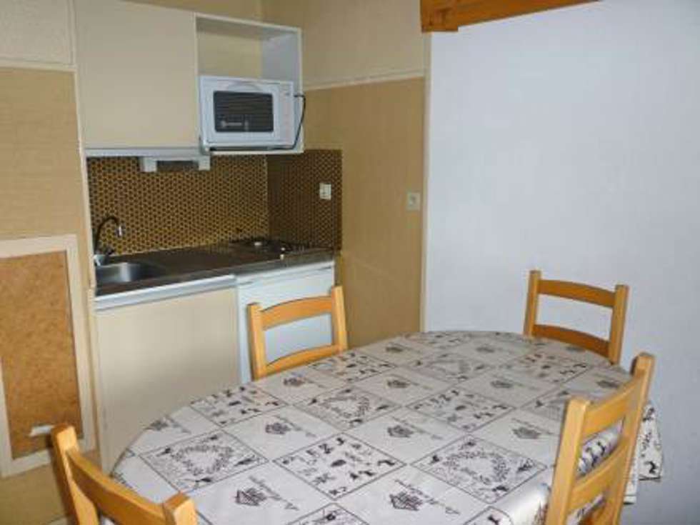 Les Asters (FR7358.100.10) Picture
