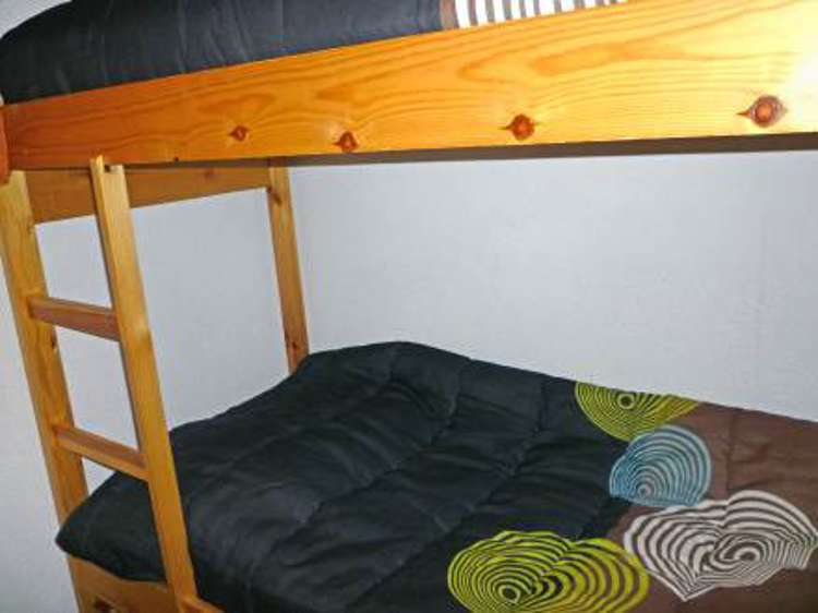 Les Asters (FR7358.100.10) Picture