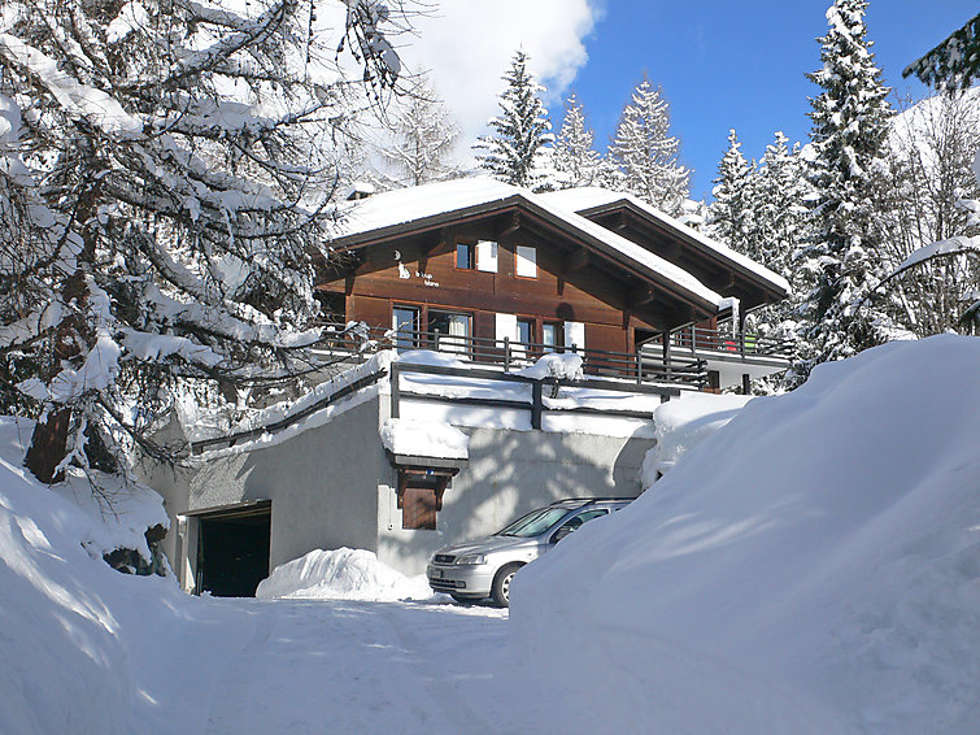 Le Loup Blanc Picture