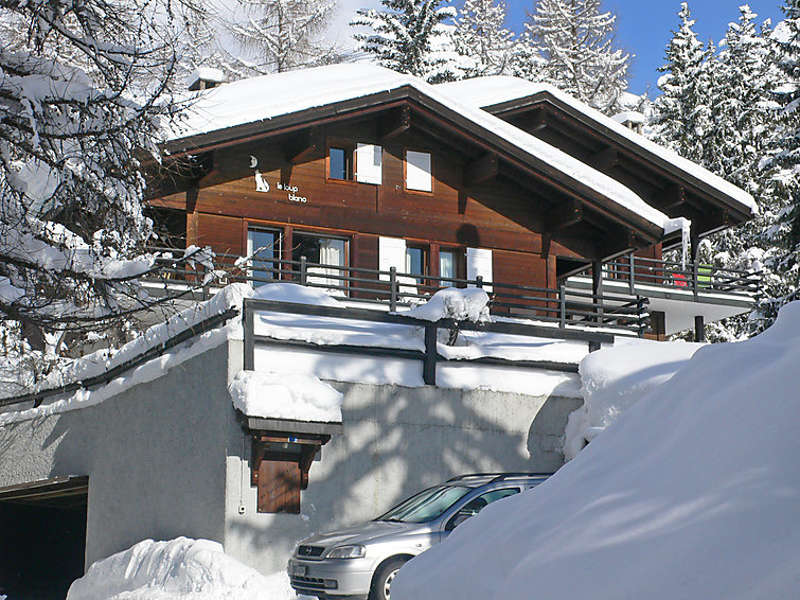 Le Loup Blanc Picture