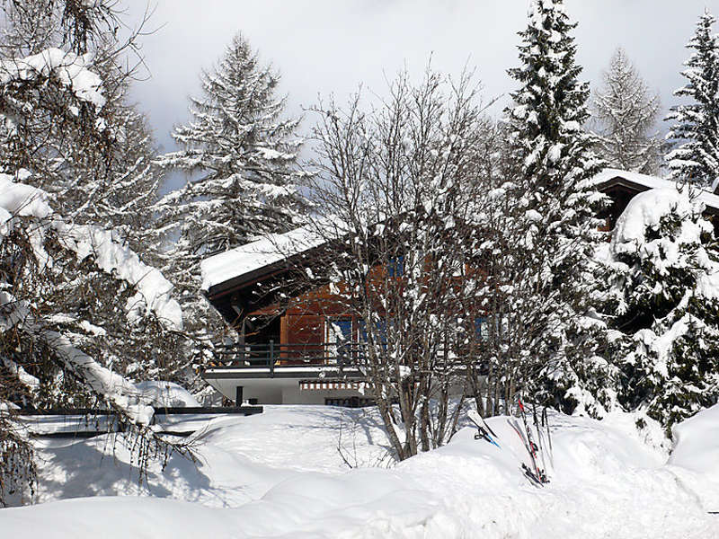 Le Loup Blanc Picture