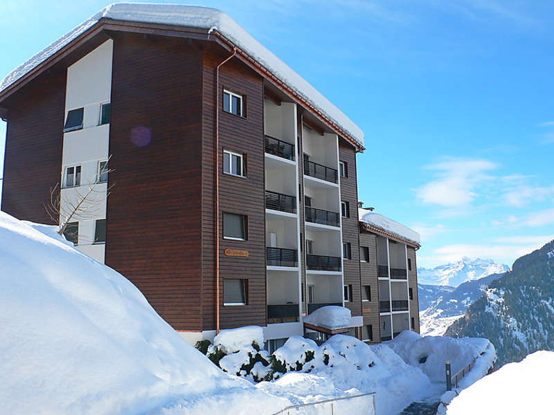 Les Girolles Picture