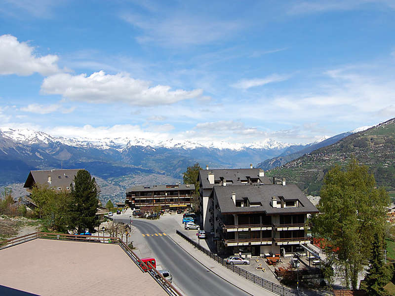 Valaisia (CH1961.100.1) Picture