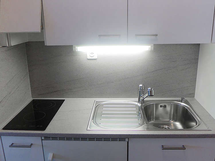 Valaisia (CH1961.100.1) Picture