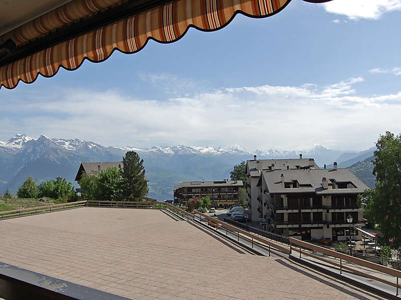 Valaisia (CH1961.100.17) Picture