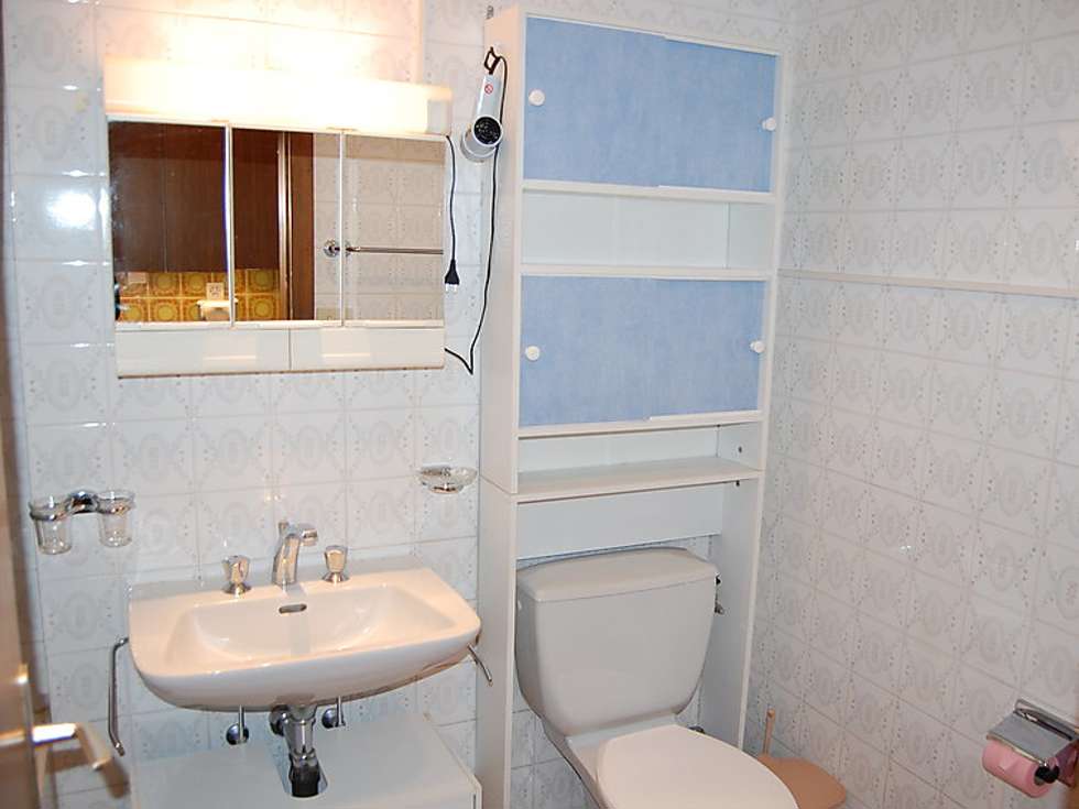 Valaisia (CH1961.100.17) Picture