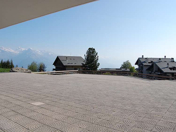 Valaisia (CH1961.100.3) Picture