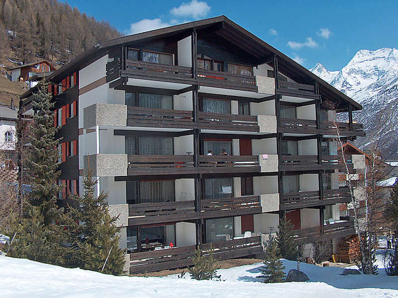 Amici (CH3906.430.1) Picture