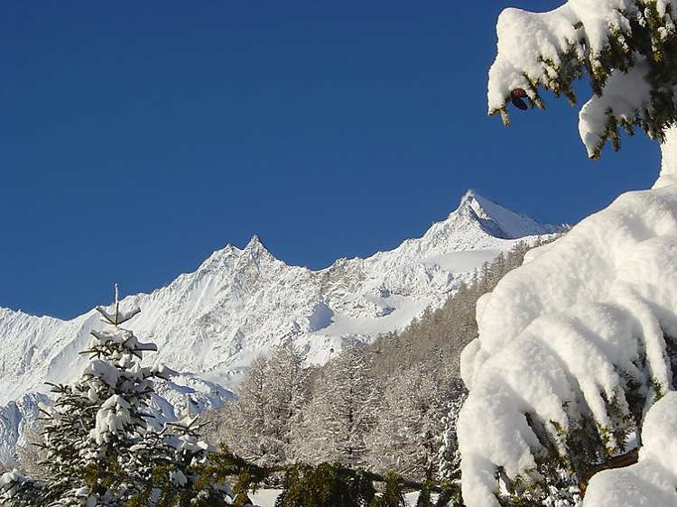 Amici (CH3906.430.1) Picture
