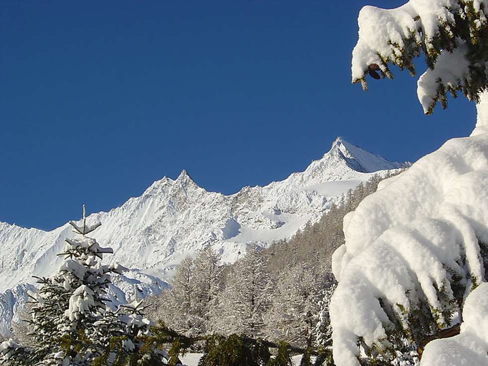 Amici (CH3906.430.1) Picture