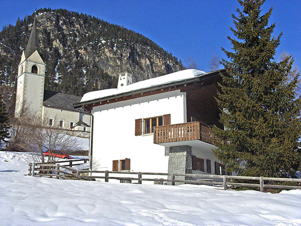 Albula Picture