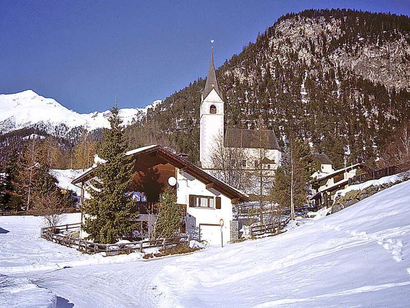 Albula Picture