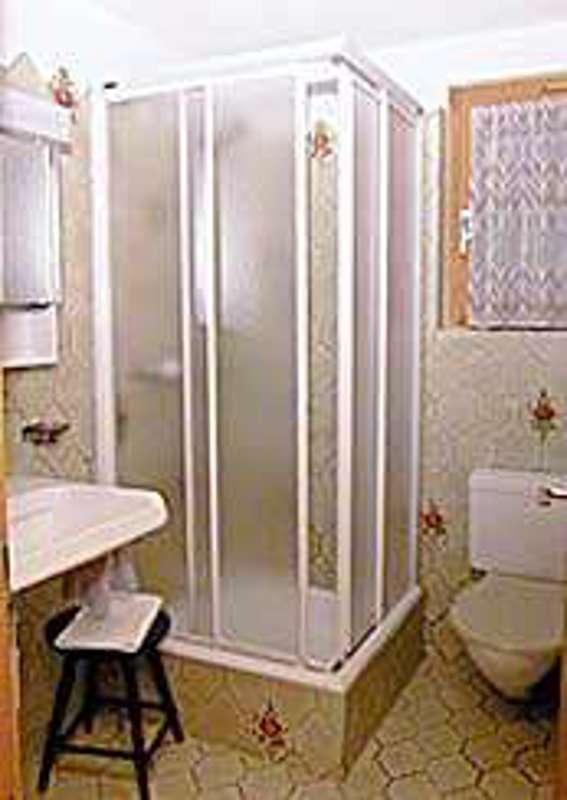 Ferienwohnung Trü 484A Picture