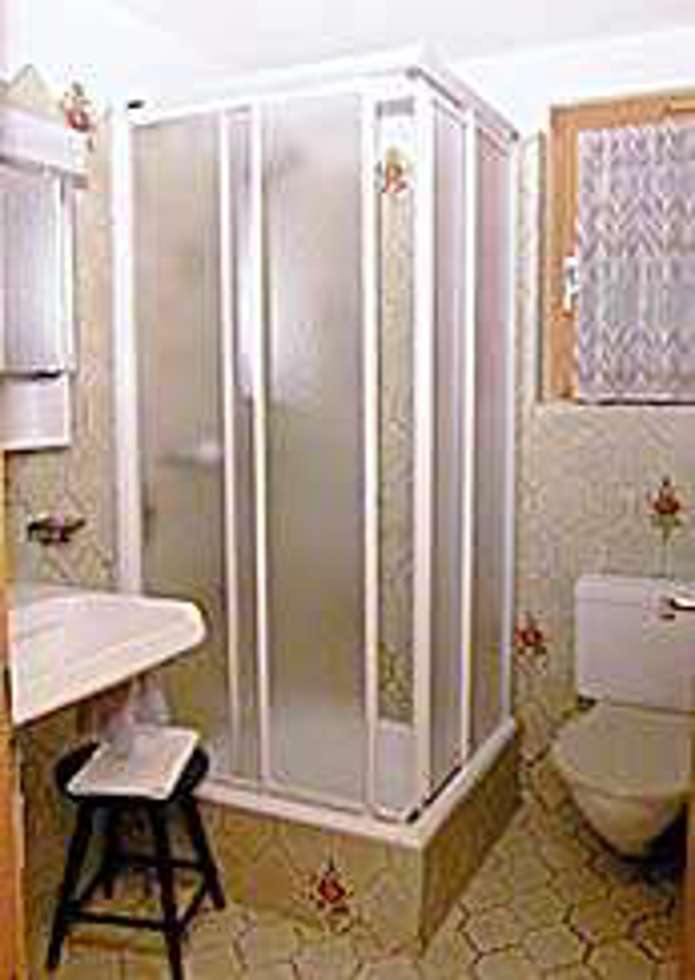 Ferienwohnung Trü 484A Picture