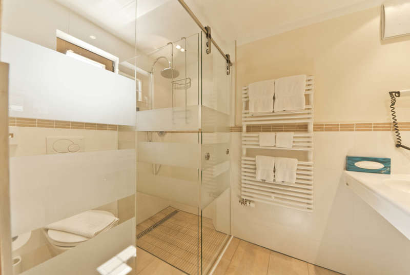 Wellness-Relax Hotel Des Alpes Picture