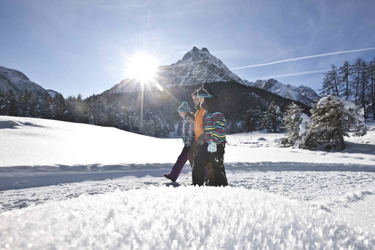 Wellness-Relax Hotel Des Alpes Picture