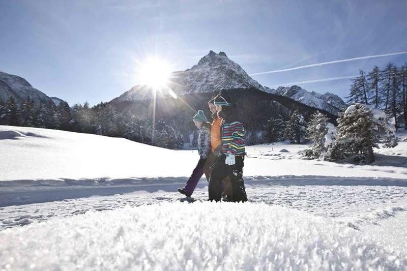 Wellness-Relax Hotel Des Alpes Picture