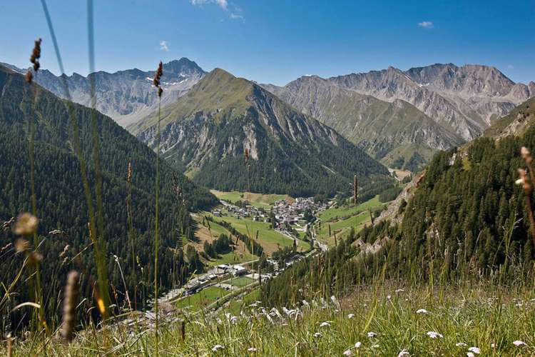 Wellness-Relax Hotel Des Alpes Picture