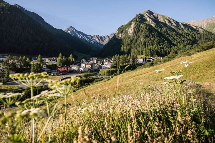 Wellness-Relax Hotel Des Alpes Picture