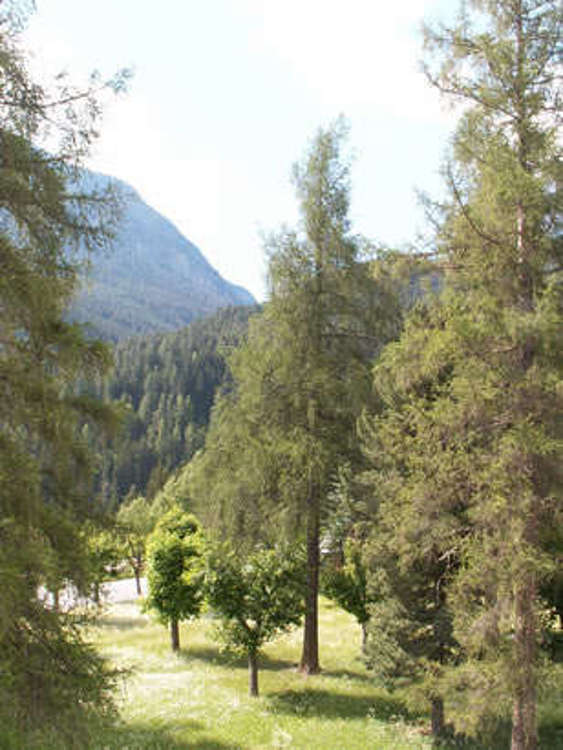 Ferienwohnung Brentsch Park B50 Picture
