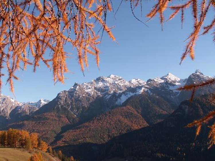 Ferienwohnung Brentsch Park B50 Picture