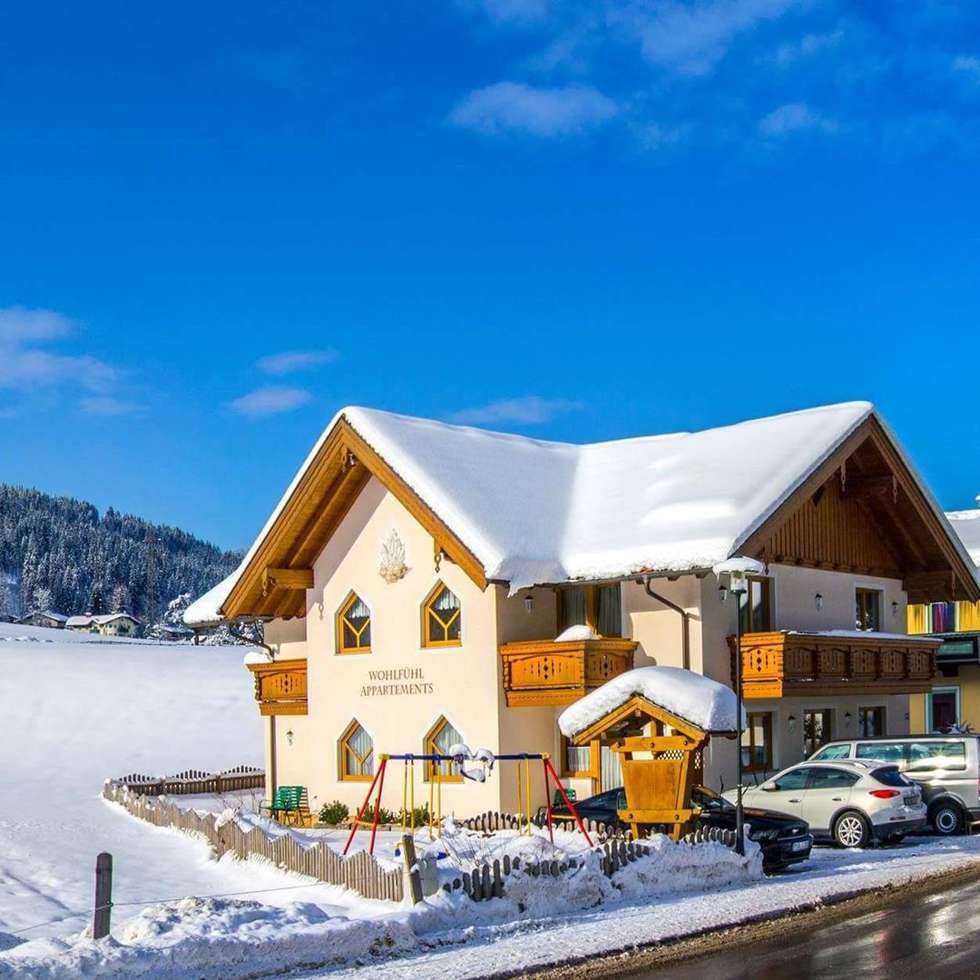 Apartment Flachauer Bergkristall Picture
