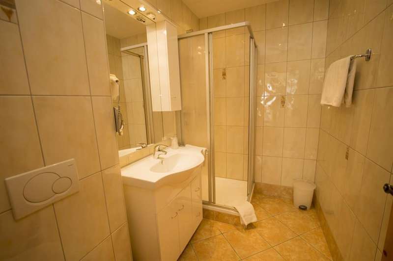Apartment Flachauer Bergkristall Picture