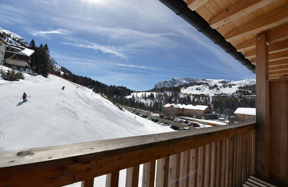 Alm Hotel Kärnten Picture