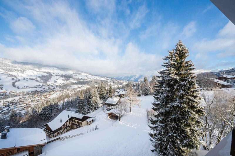 ApartmentNeiged'Arbois_9.jpg