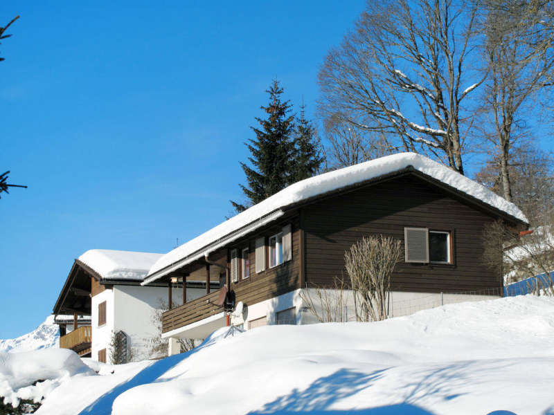 ApartmentCrapGrisch554_1.jpg